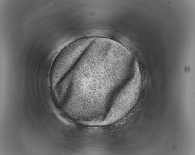 X0000091980050200709271435