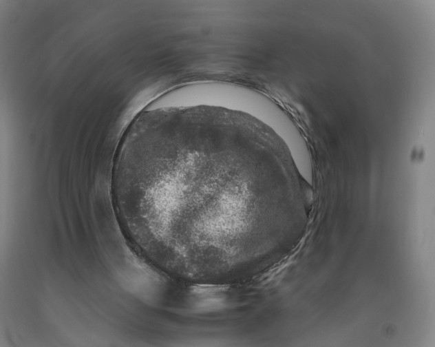 X0000091980051200709271435