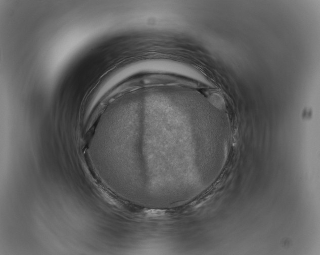 X0000091980052200709271435