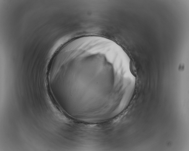 X0000091980054200709271435