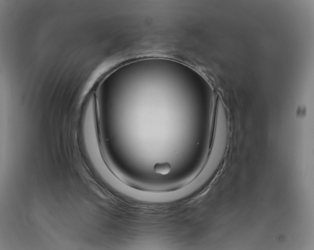 X0000091980056200709271435