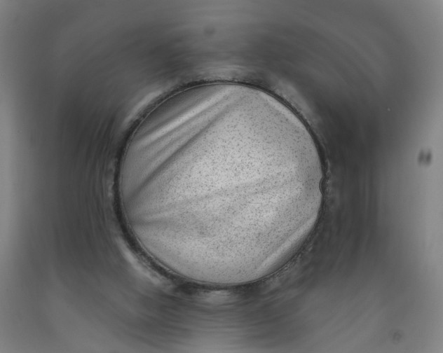 X0000091980058200709271435