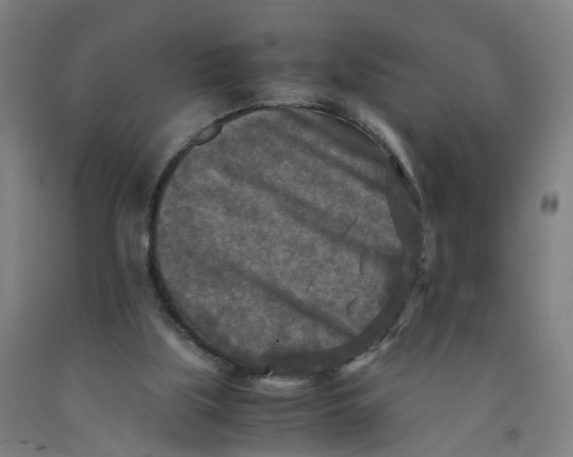 X0000091980059200709271435