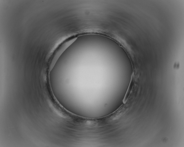 X0000091980060200709271435
