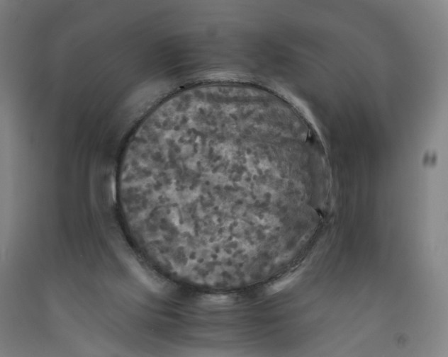 X0000091980061200709271435