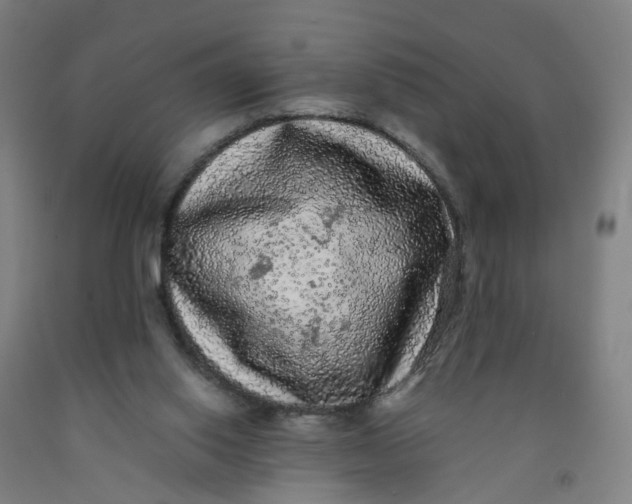 X0000091980062200709271436