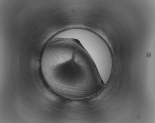 X0000091980063200709271436