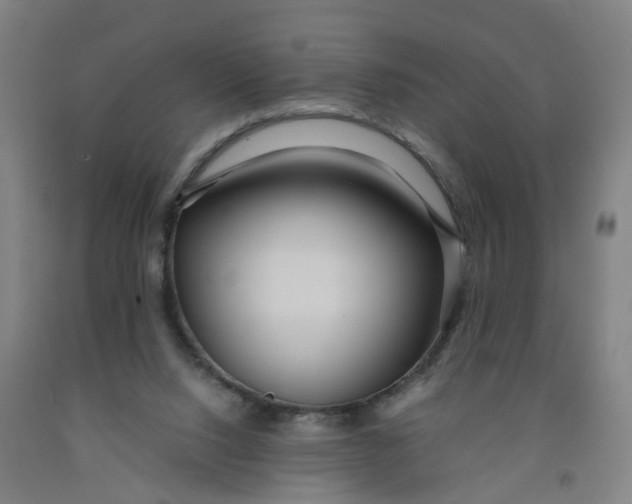 X0000091980064200709271436