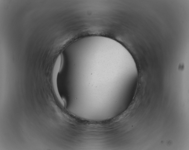 X0000091980066200709271436