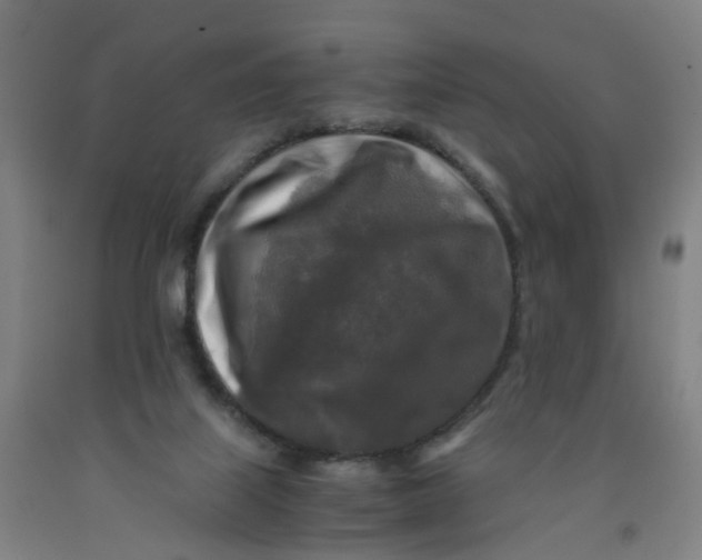 X0000091980067200709271436