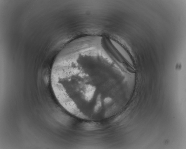 X0000091980069200709271436