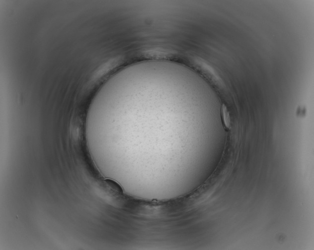 X0000091980071200709271436