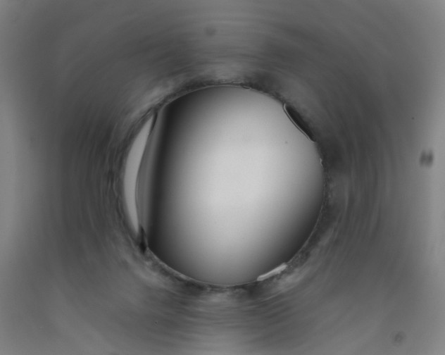 X0000091980072200709271436