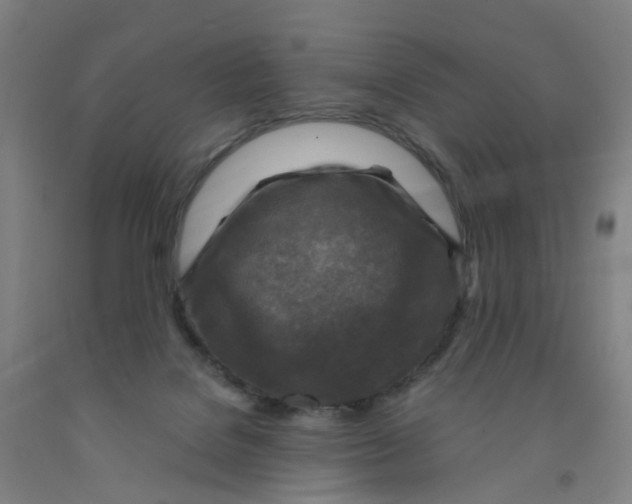 X0000091980076200709271436