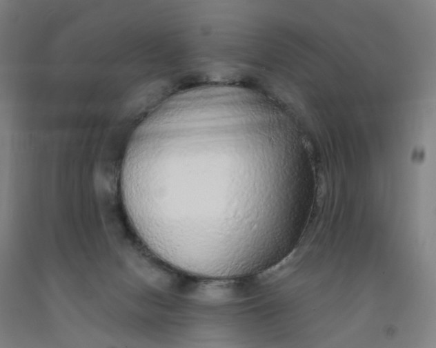 X0000091980078200709271436