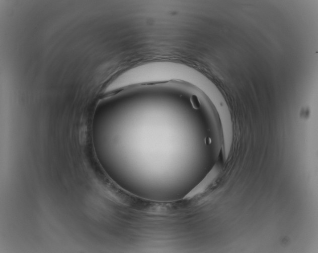 X0000091980080200709271436