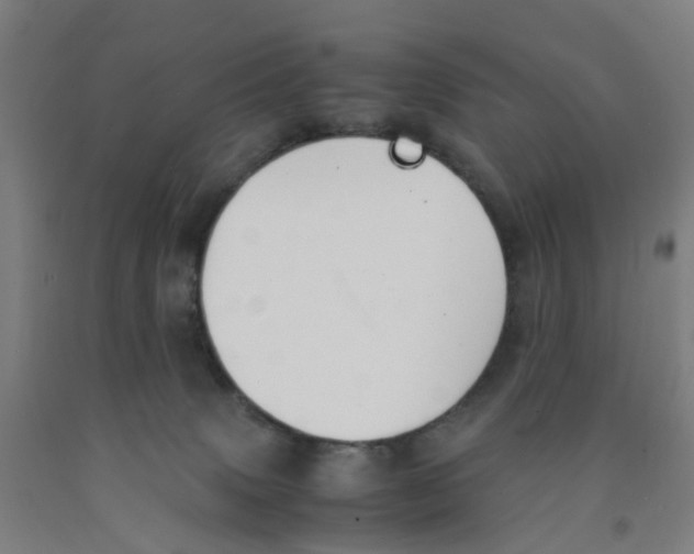 X0000091980083200709271436