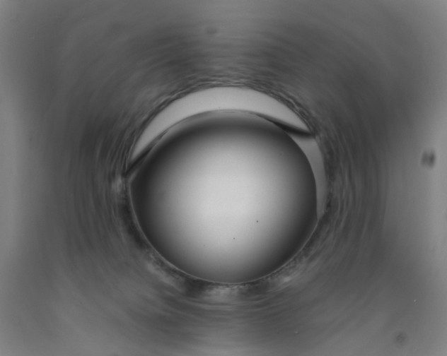 X0000091980084200709271436