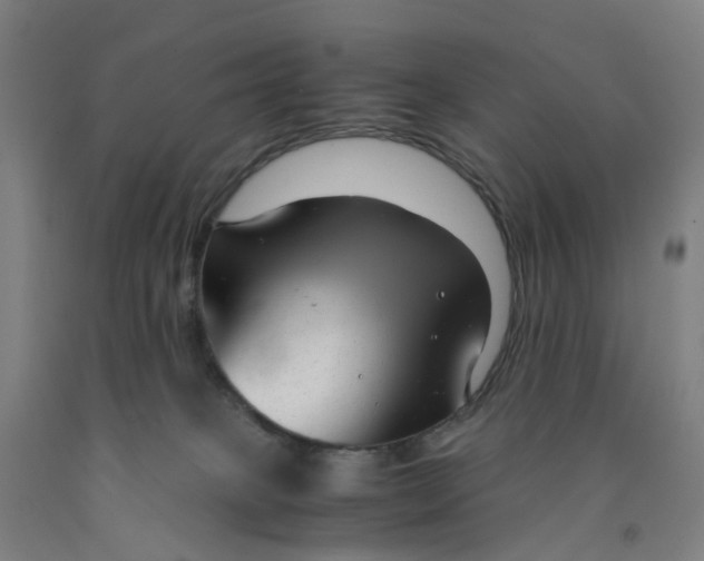 X0000091980085200709271436