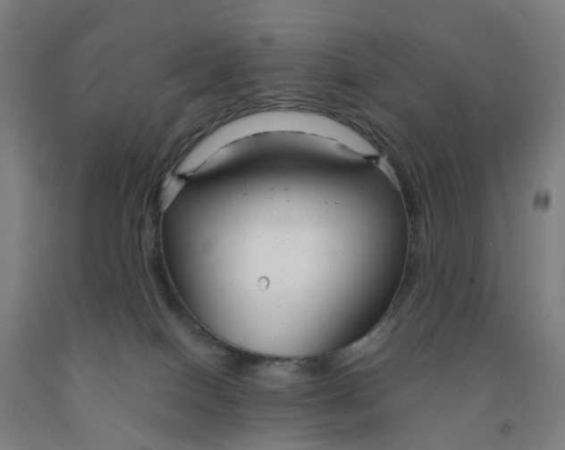 X0000091980086200709271436