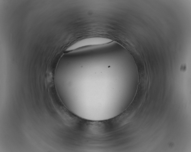 X0000091980087200709271436