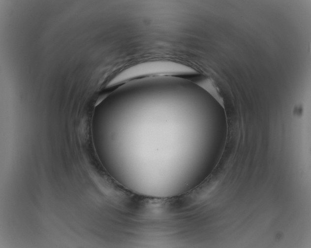 X0000091980088200709271436