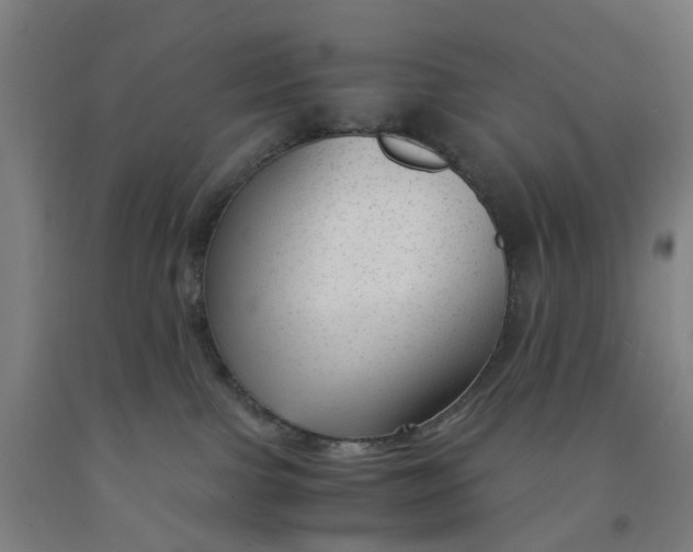 X0000091980091200709271436