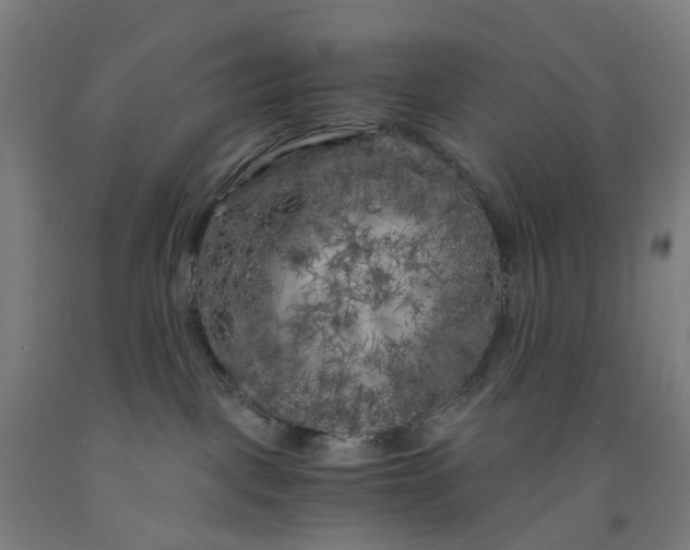 X0000091980093200709271436