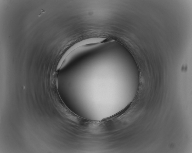 X0000091980096200709271436