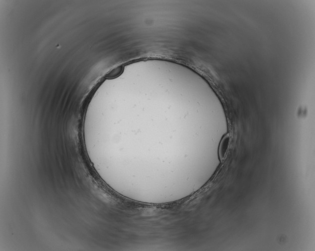 X0000091980098200709271435