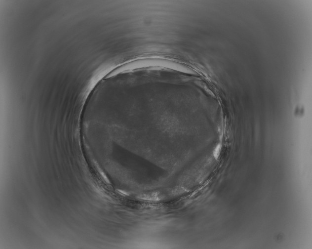 X0000091980099200709271435