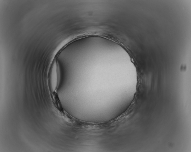 X0000091980100200709271435