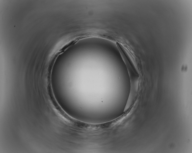 X0000091980101200709271435
