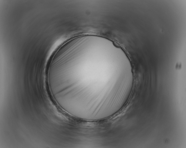 X0000091980102200709271435