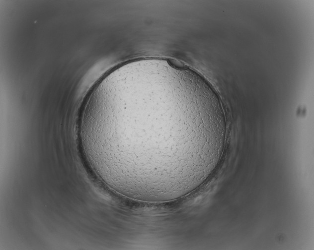 X0000091980103200709271435