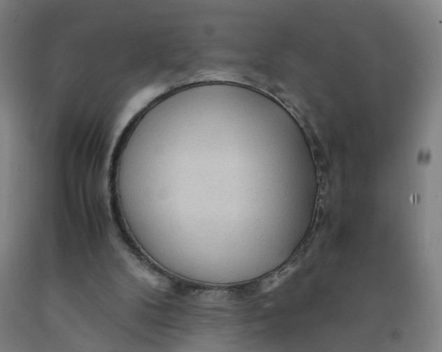 X0000091980104200709271435