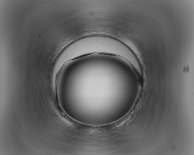 X0000091980105200709271435