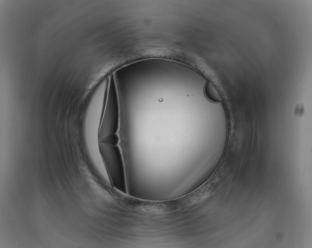 X0000091980106200709271435