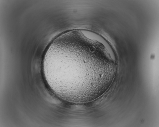 X0000091980107200709271435