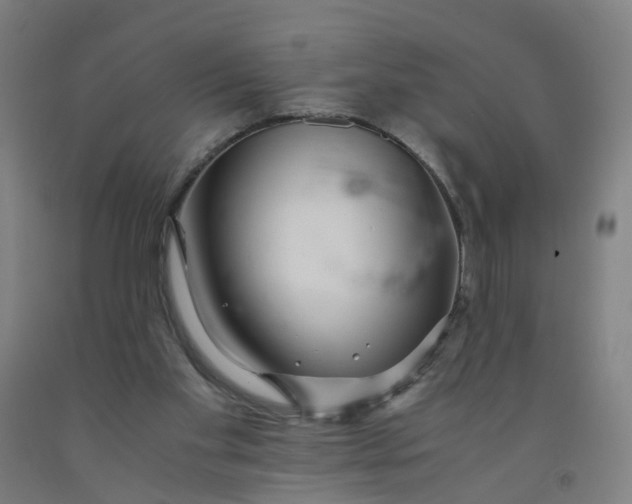 X0000091980109200709271435