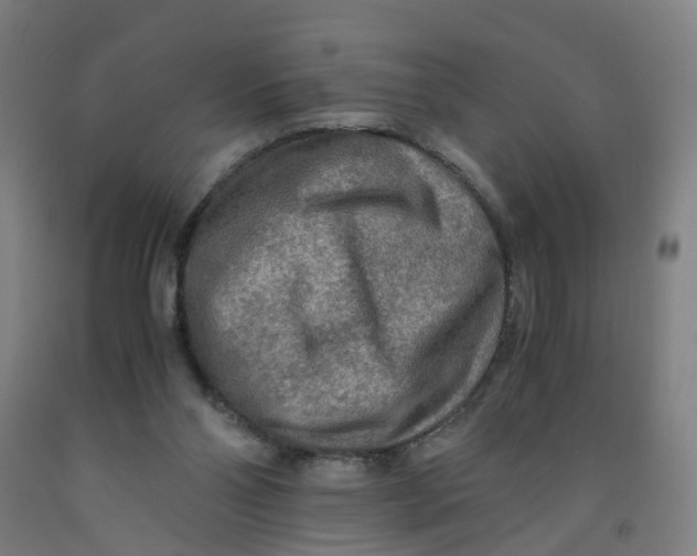 X0000091980110200709271435