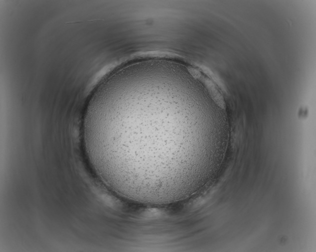 X0000091980111200709271435
