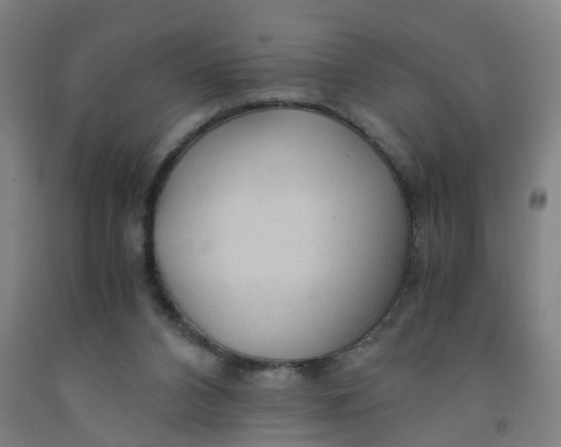 X0000091980112200709271435