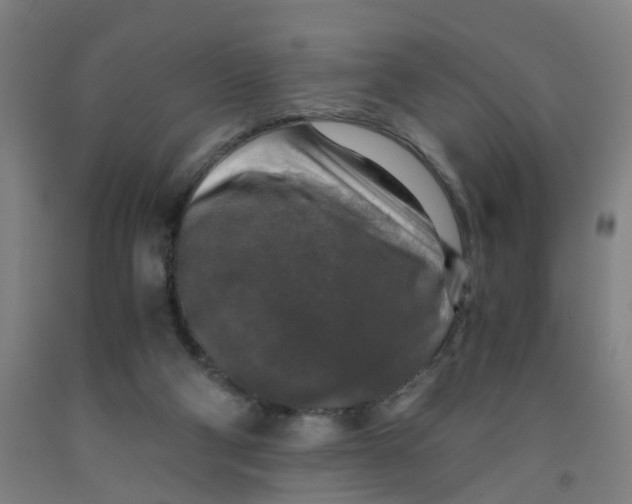 X0000091980114200709271435