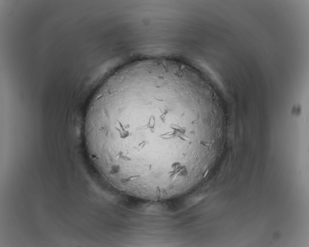 X0000091980115200709271435