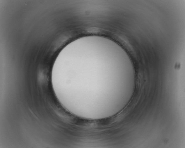 X0000091980116200709271435