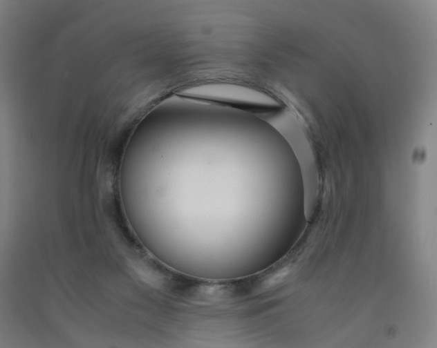 X0000091980117200709271435