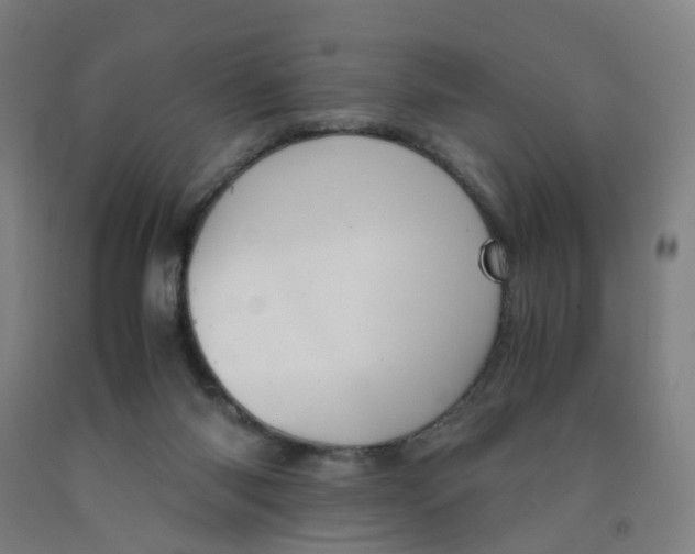 X0000091980118200709271435