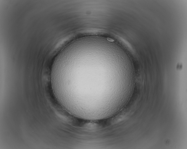 X0000091980119200709271435