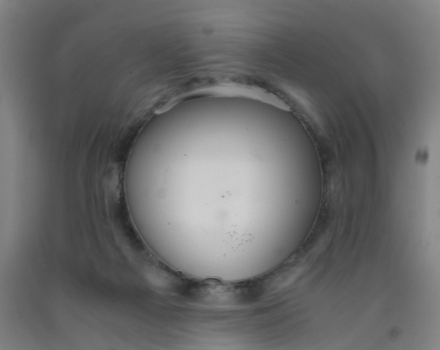 X0000091980121200709271435